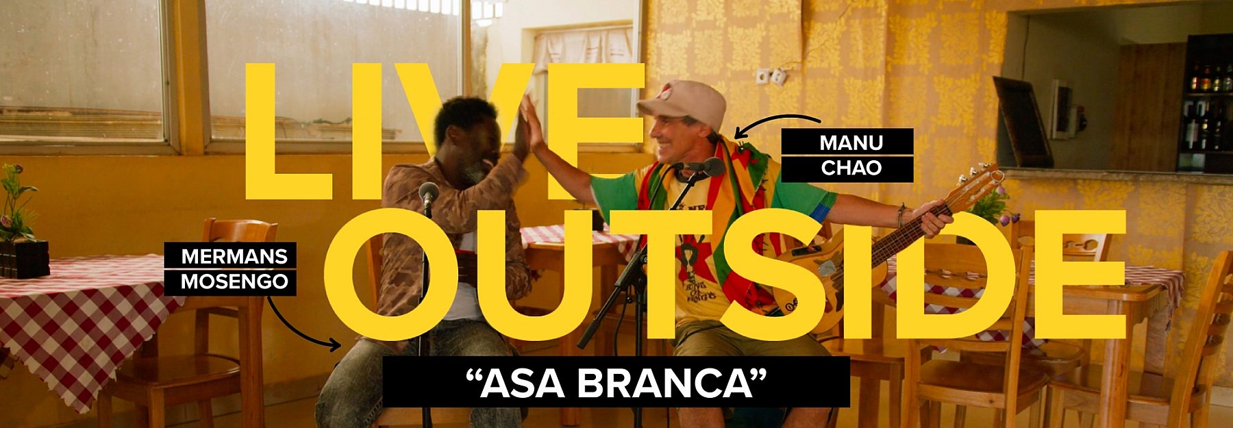 Website Banners asa branca banner