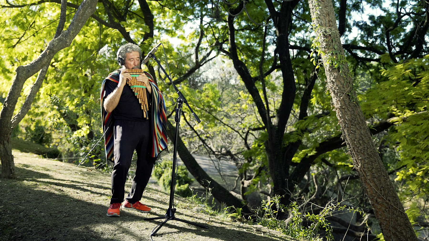 Alfredo Arce Landscape