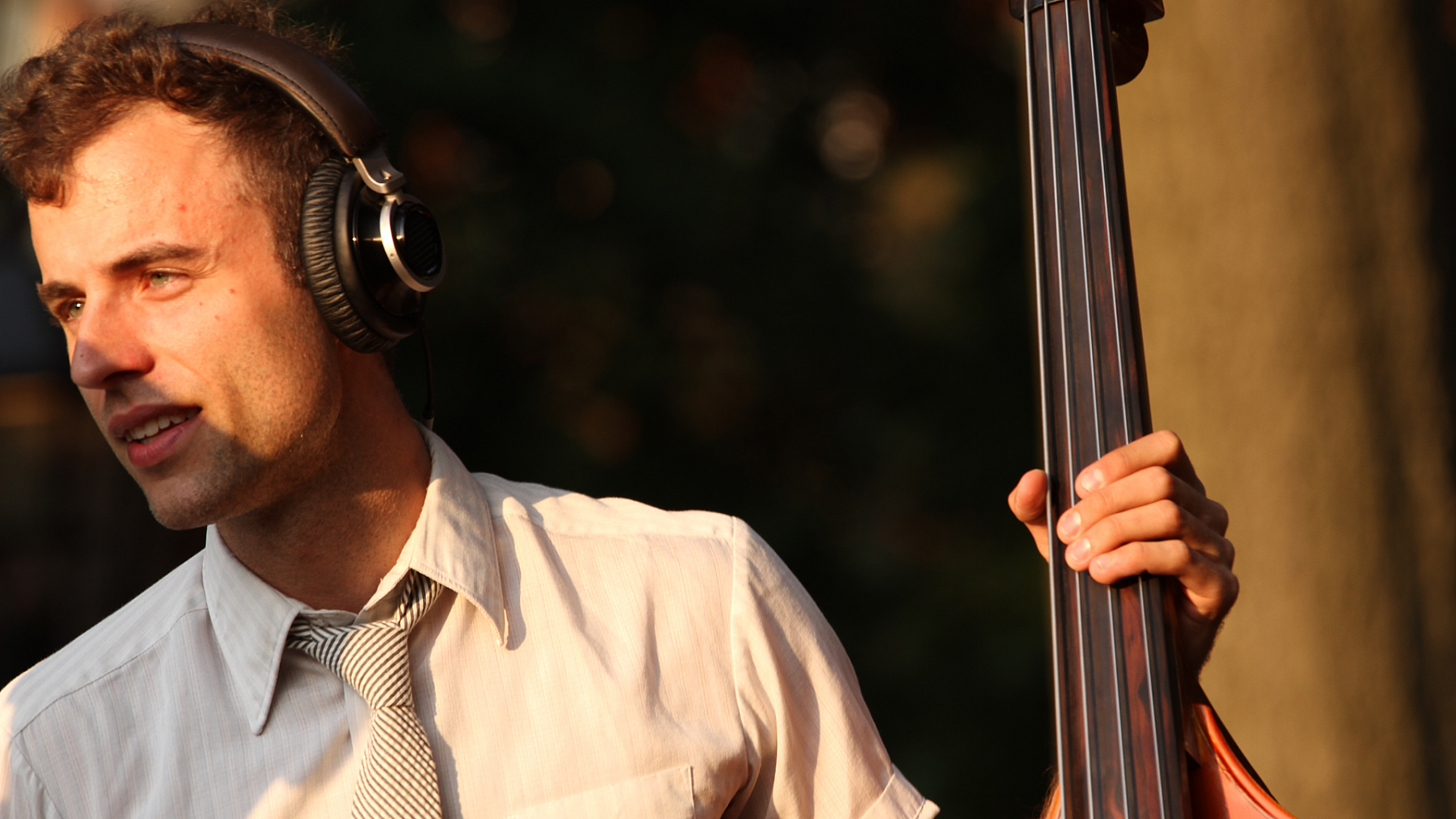 Chris Morrisey landscape