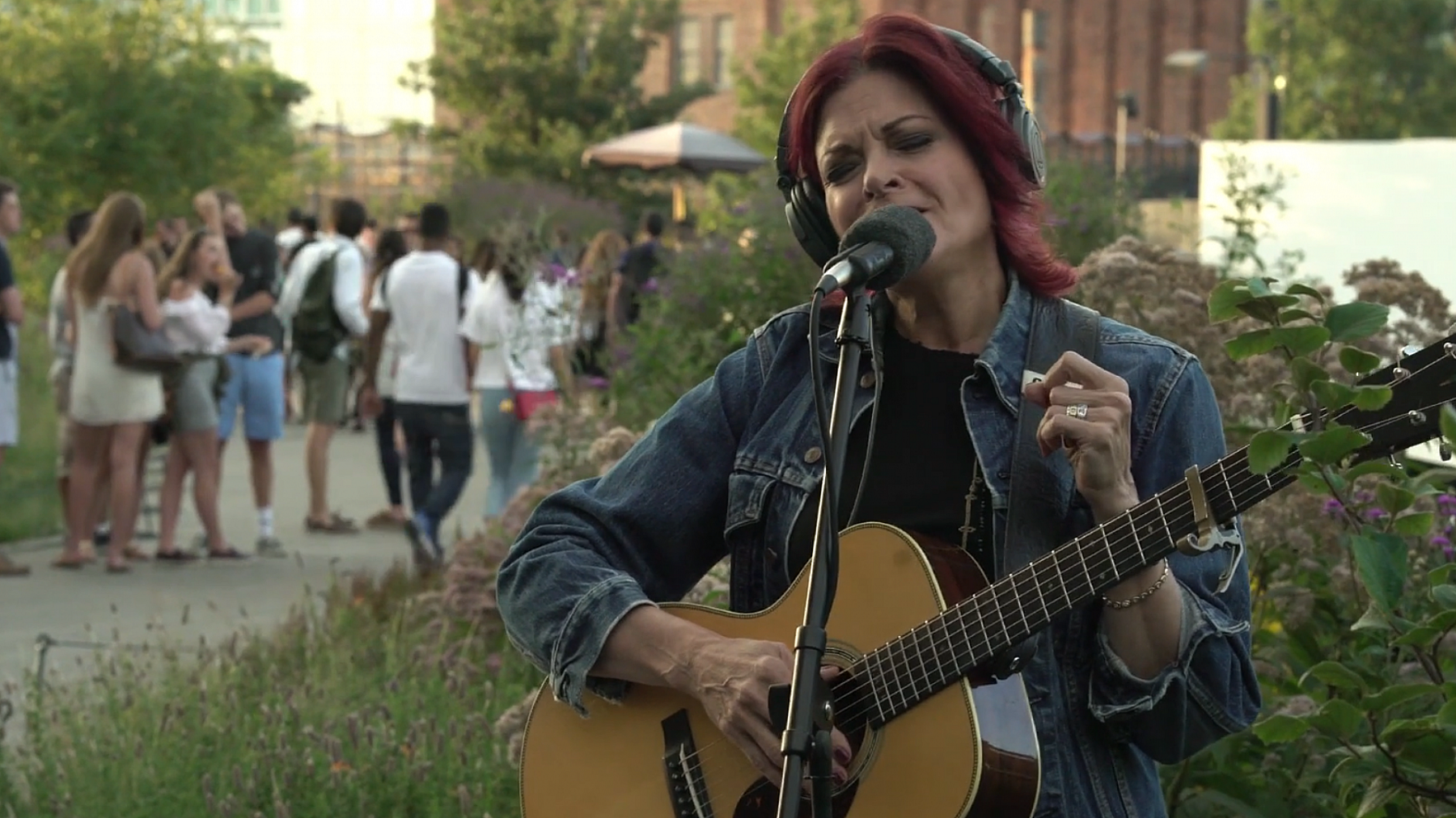 Rosanne Cash landscape