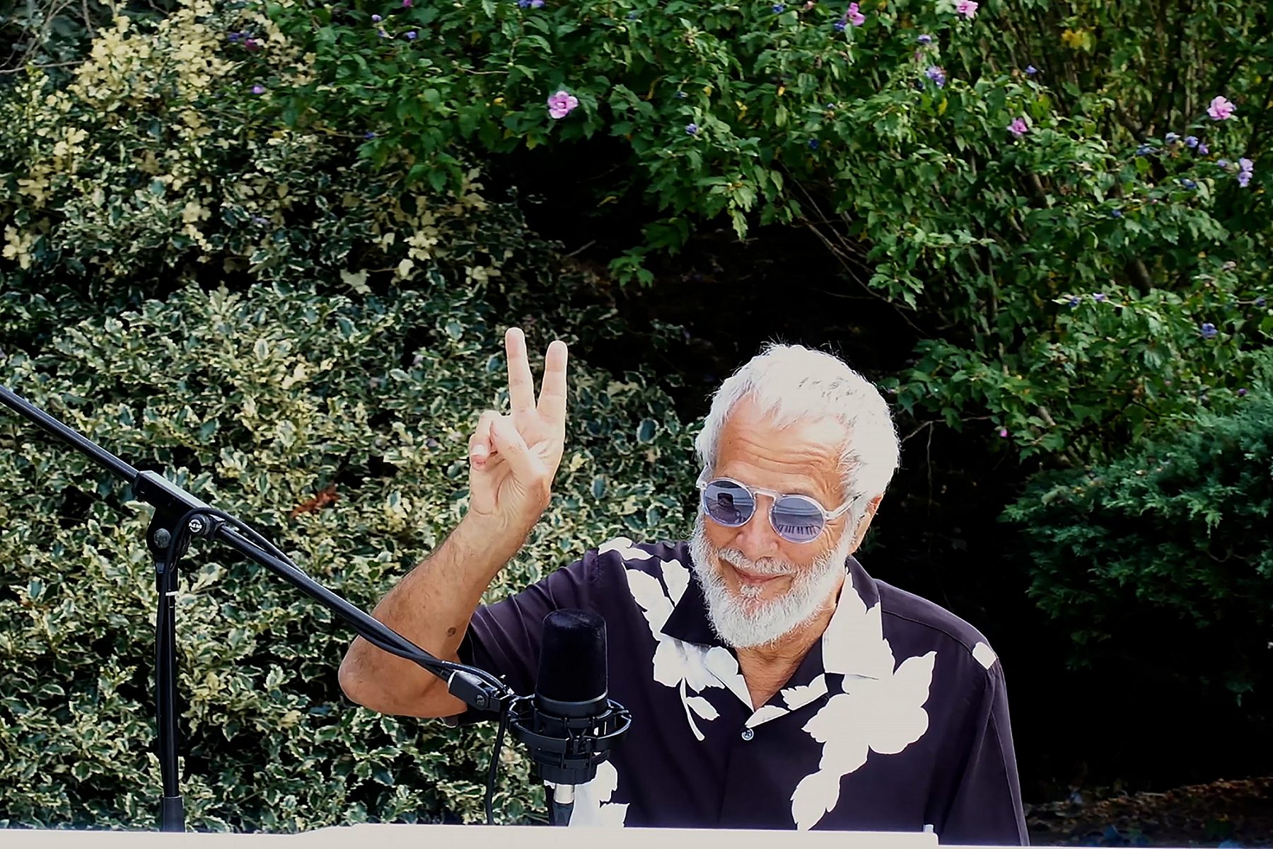 Yusuf Cat Stevens landscape