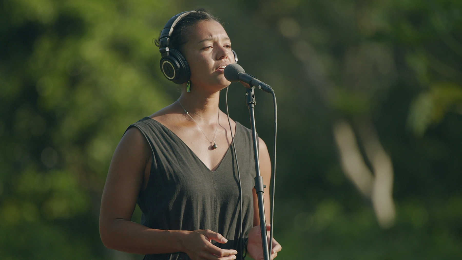 SATW Musician Spotlight entry Landscape