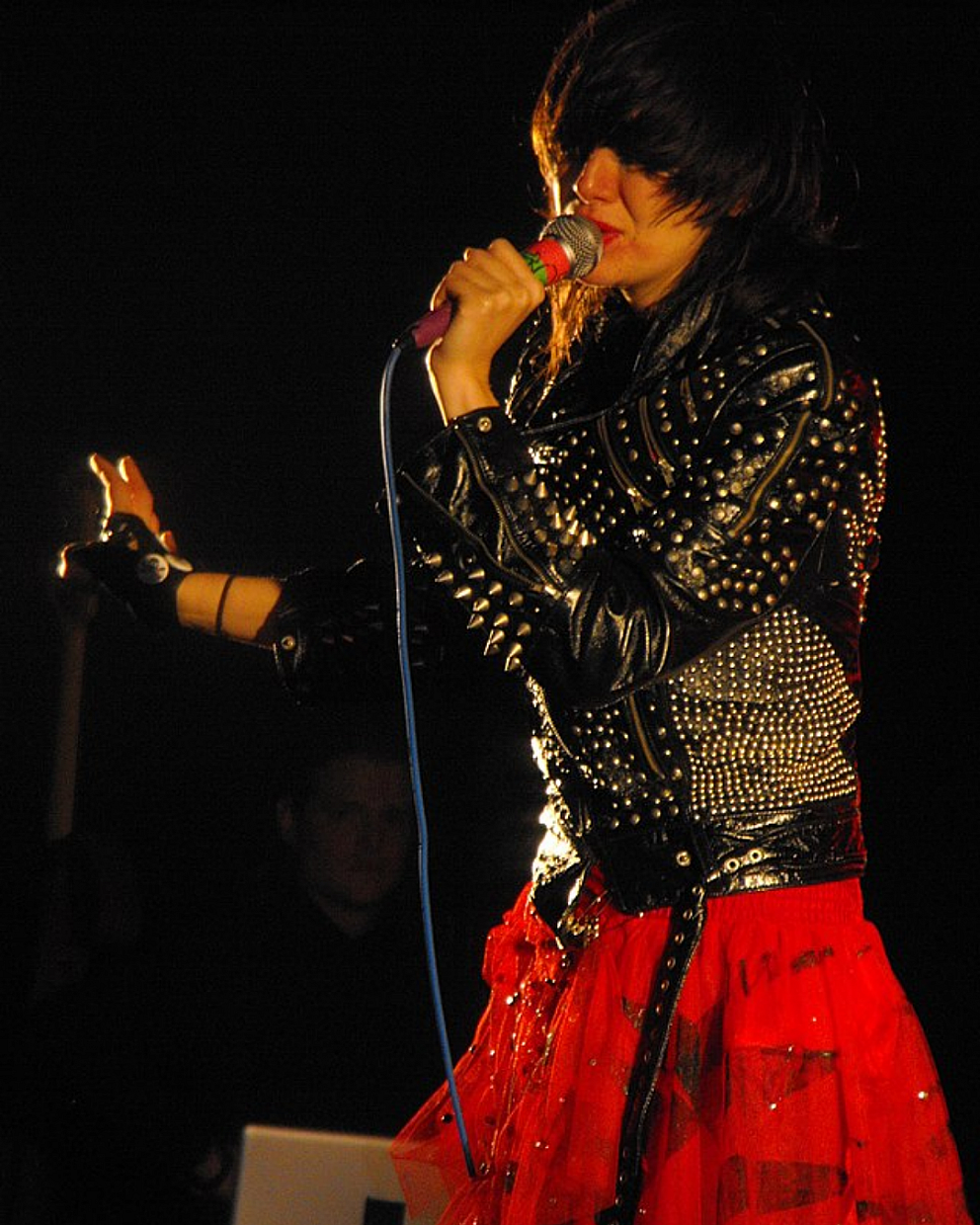 Karen O 1 entry Portrait