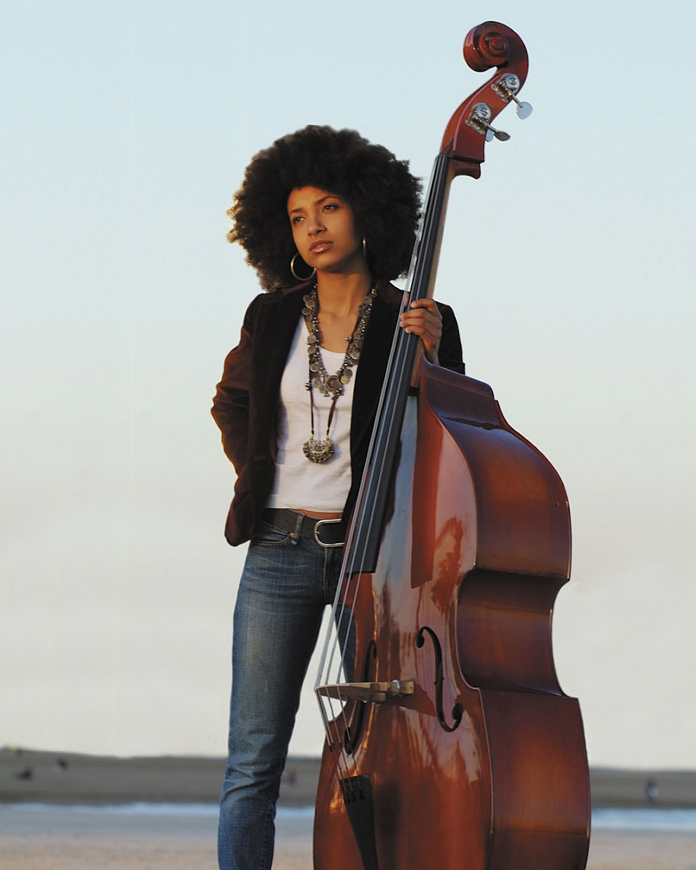 Esperanza spalding 1 2 entry Portrait