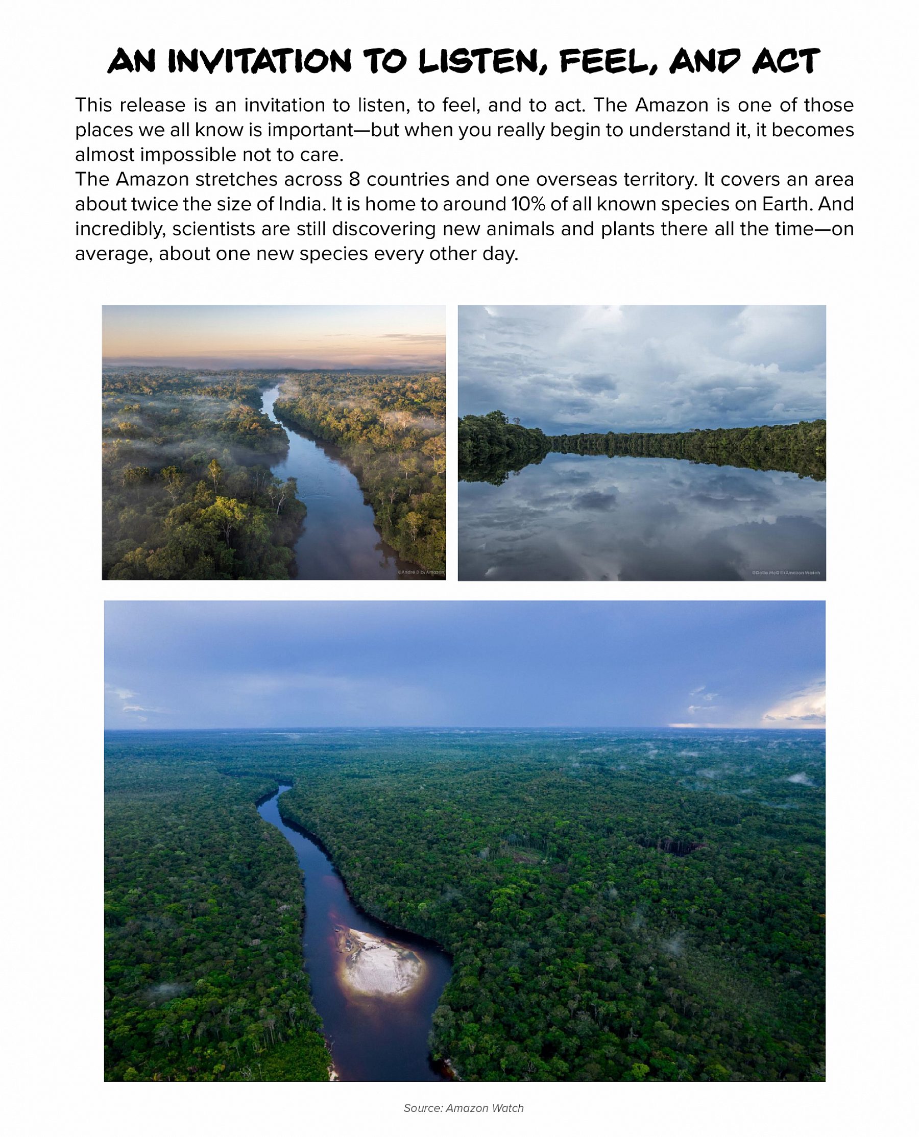 Mamazonia blog 03