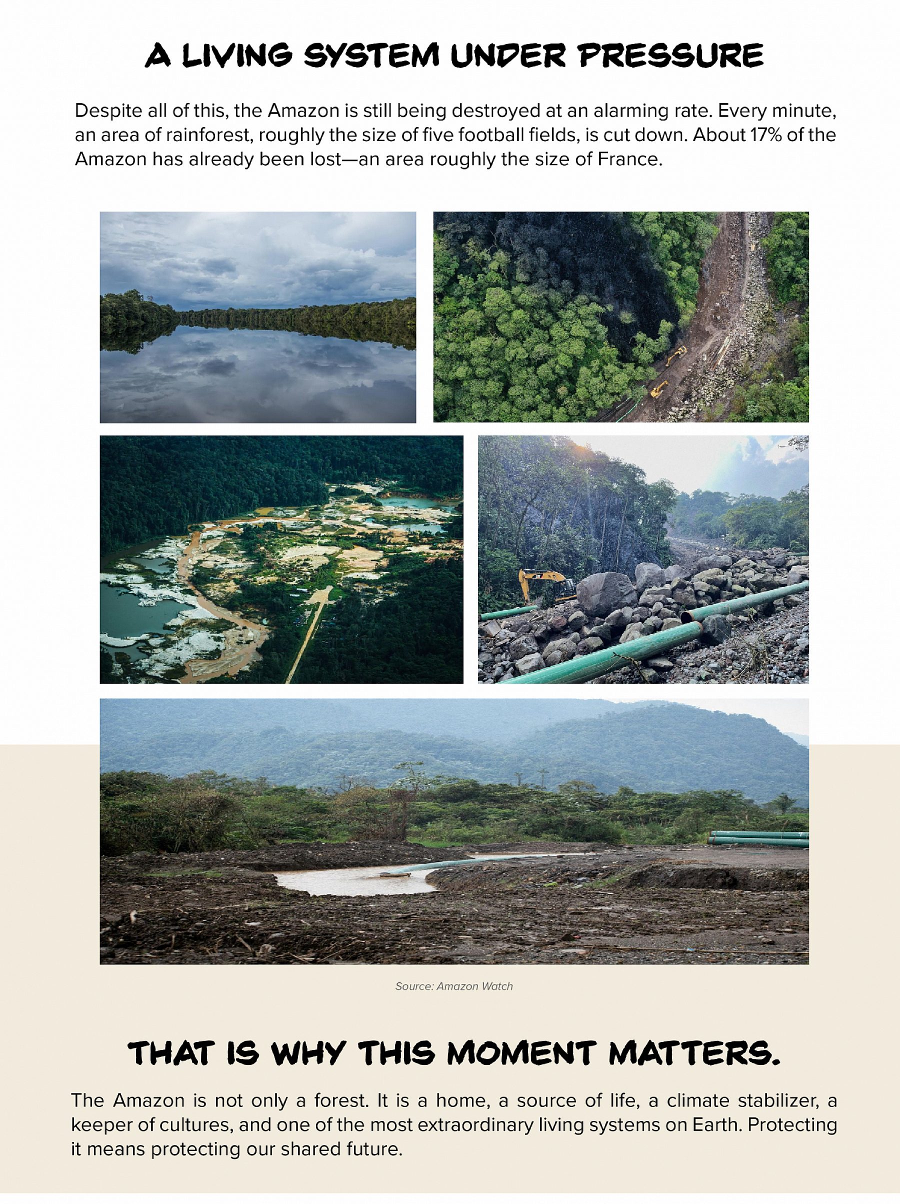 Mamazonia blog 07